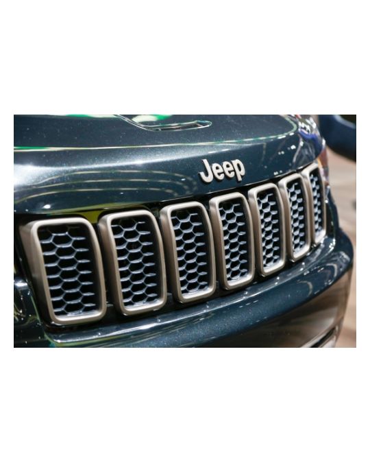 Mopar Grille Rings Bronze